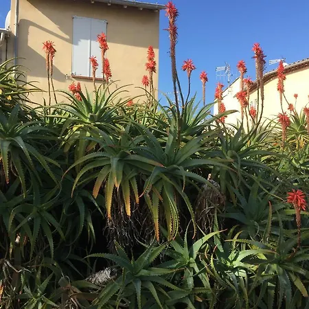 Le Melody Appartement Antibes