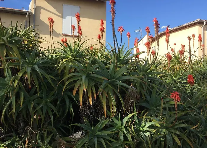 Le Melody Apartment Antibes